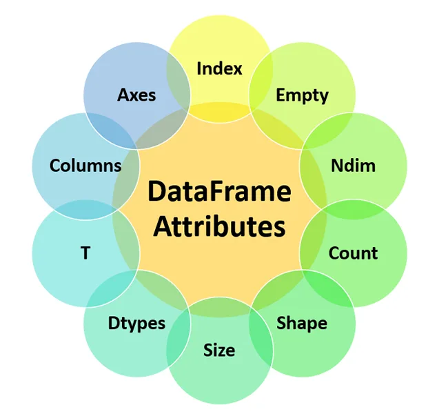 Bước Đệm Vào Thế Giới Pandas: Làm Chủ Series và DataFrame