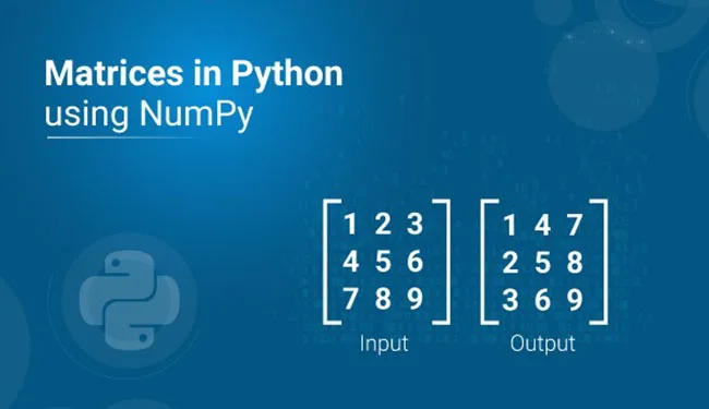 Data Analysis là gì? Cẩm nang toàn diện cho người mới bắt đầu làm quen với Phân tích dữ liệu